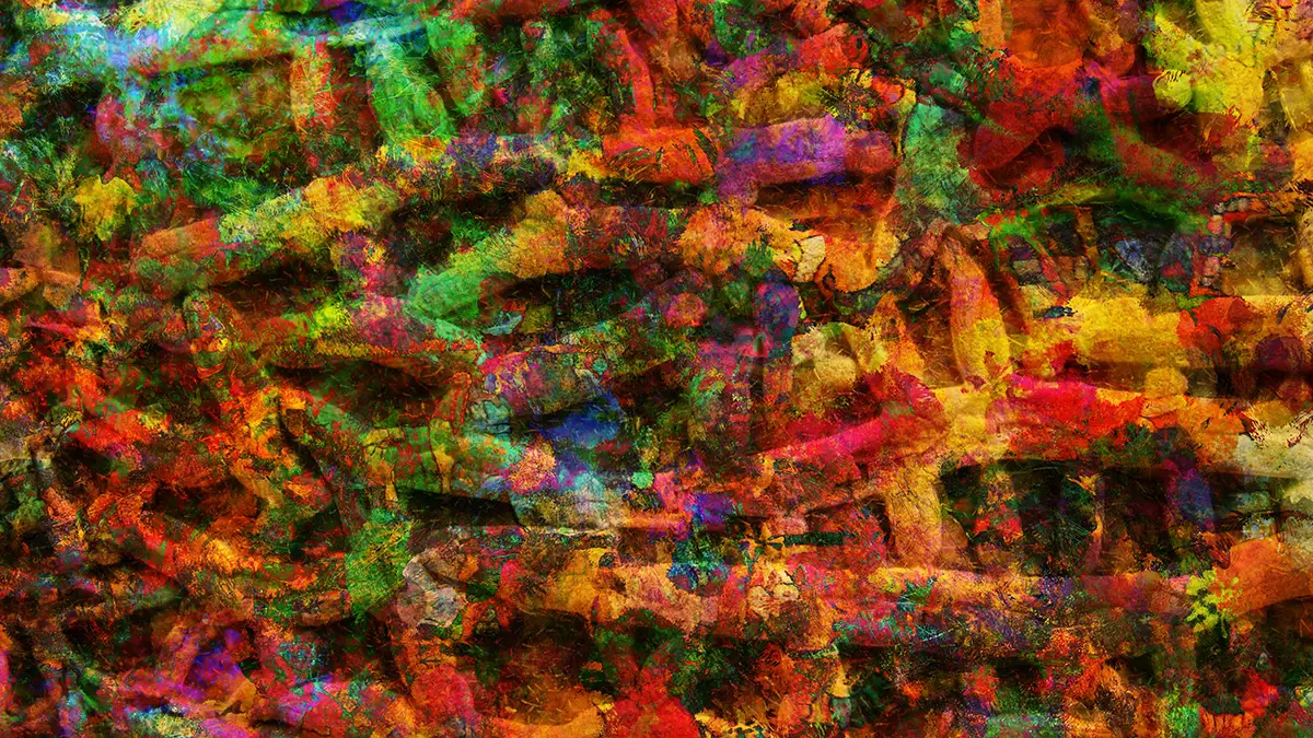 Microscopic image of bacteria