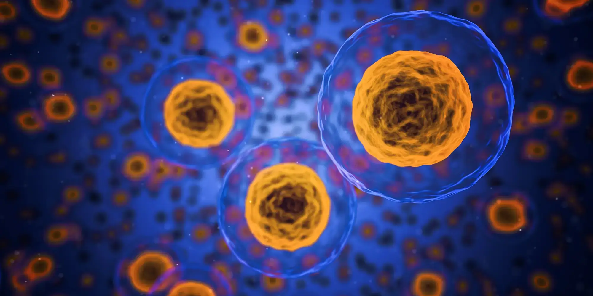 Illustration of cells